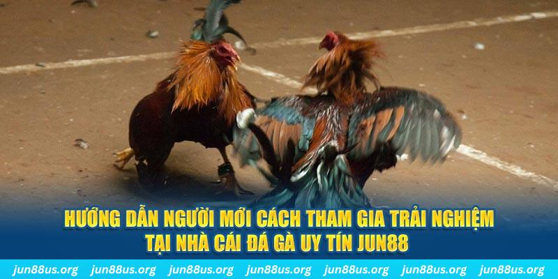 rr8822 CQ9 Điện Tử