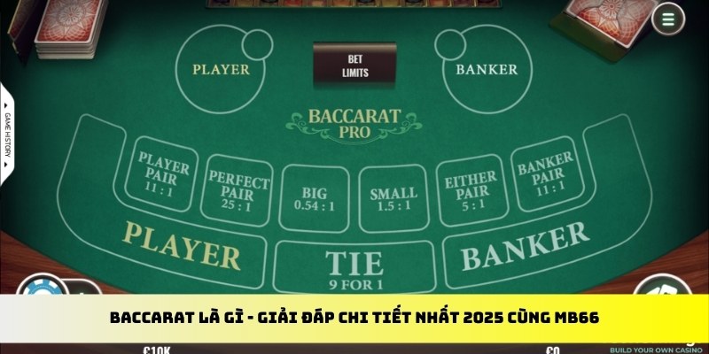 rr8822 gà chọi cu cần