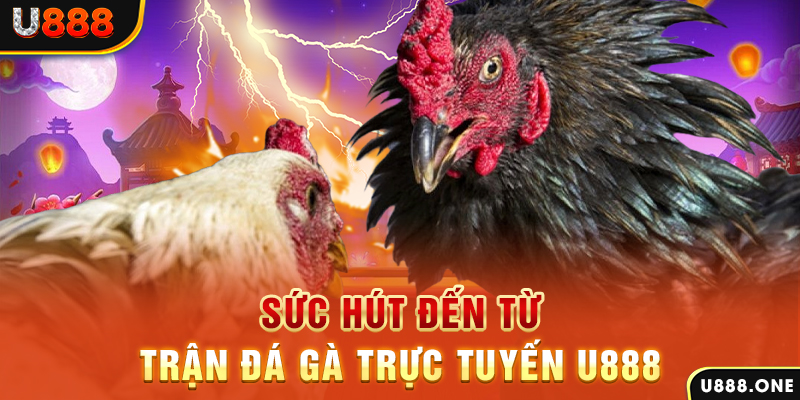 rr8822 nổ hũ b29 là gì