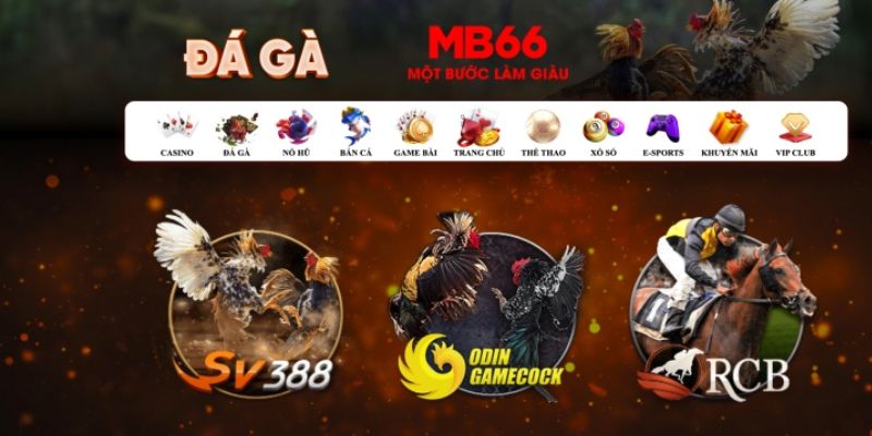rr8822 đăng nhập poker số 1