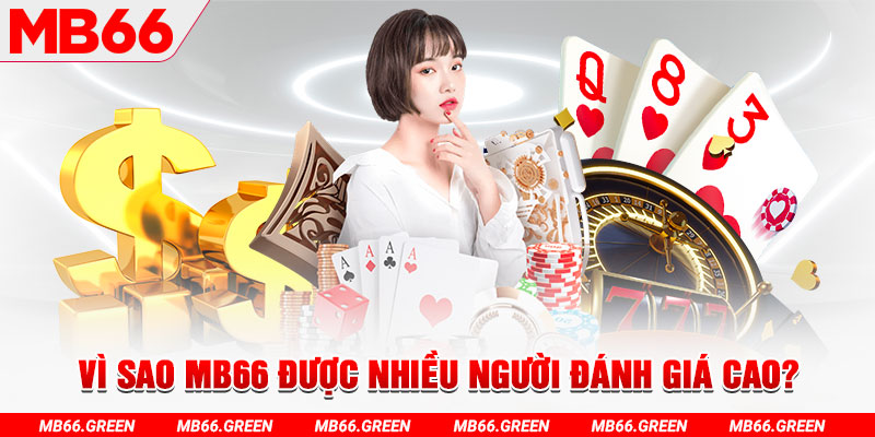 rr8822 đá gà