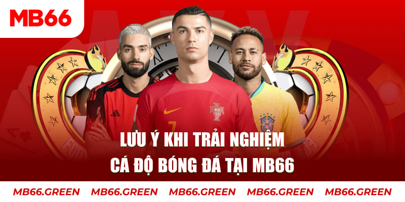 rr8822 cá cược là gì