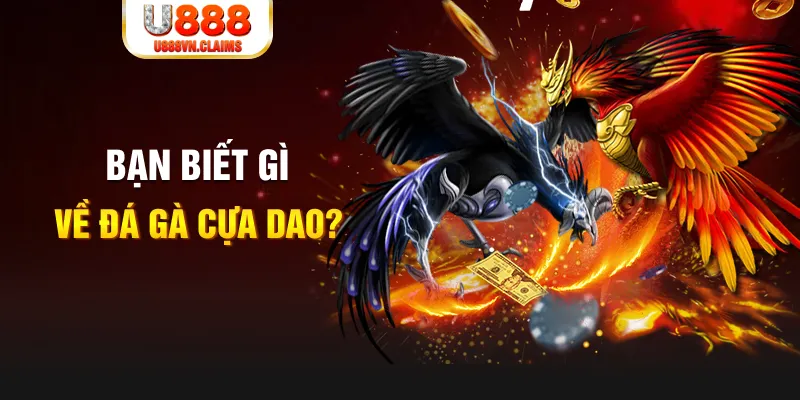 rr8822 nổ hủ là gì