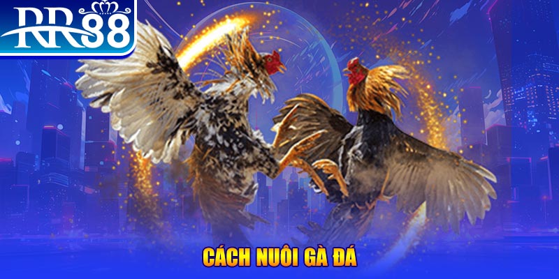 rr8822 xổ số an giang