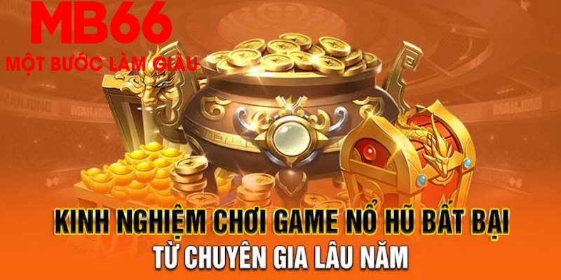 rr8822 1 slot là gì