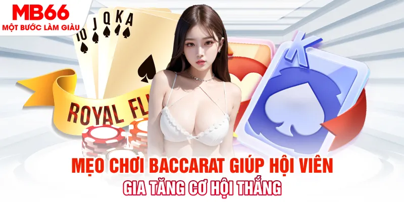 rr8822 xổ số hà nội