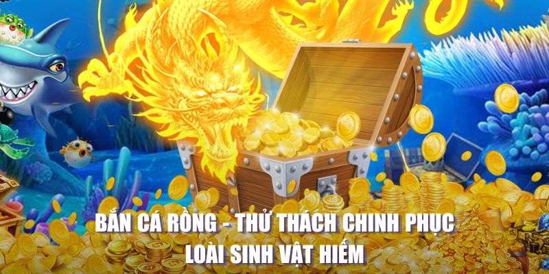 rr8822 máy slot game là loại trò chơi gì？