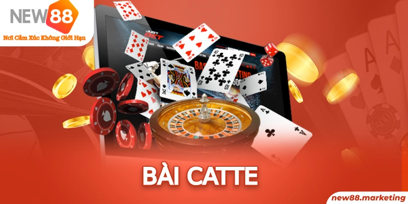 rr8822 gà chọi