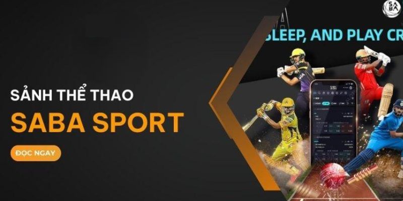 rr8822 cá cược online bị phạt như thế nào