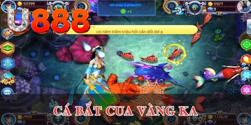 rr8822 kết quả xổ số hôm nay