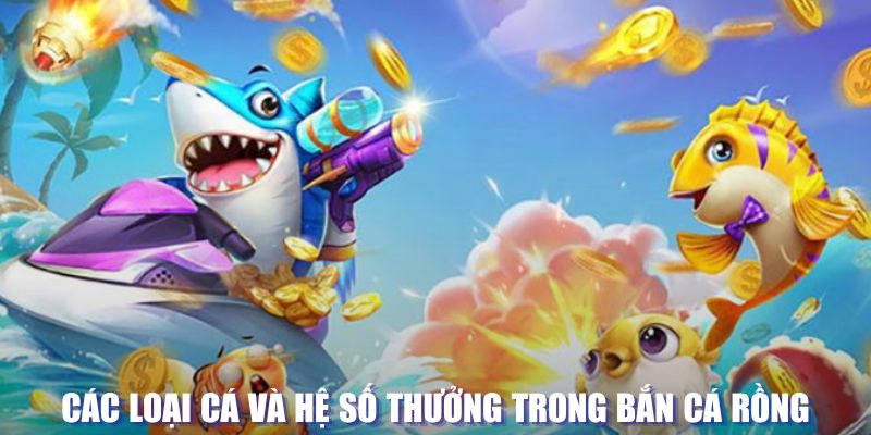 rr8822 đăng nhập sòng bạc mới nhất
