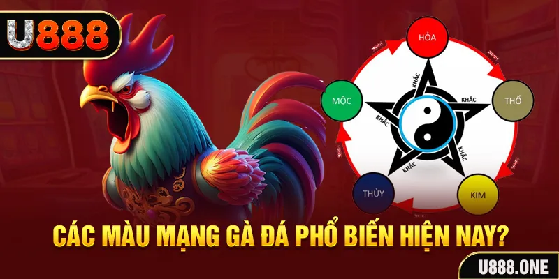 rr8822 trực tiếp đá gà 88