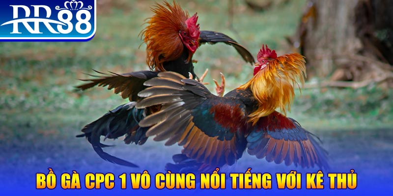 rr8822 game máy bay nổ hũ