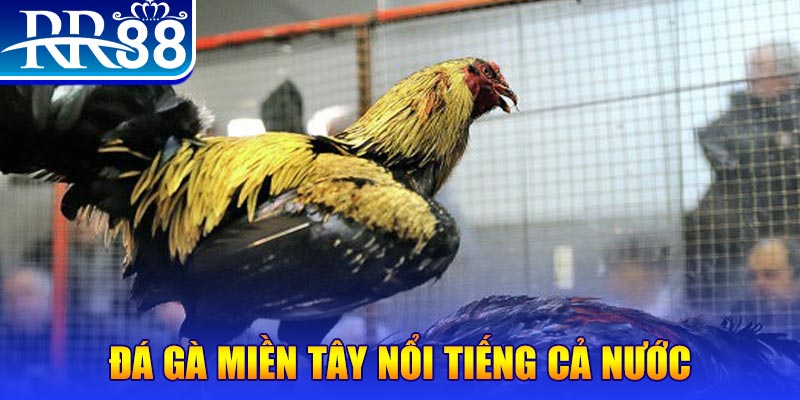 rr8822 JILI Game Bài 3d