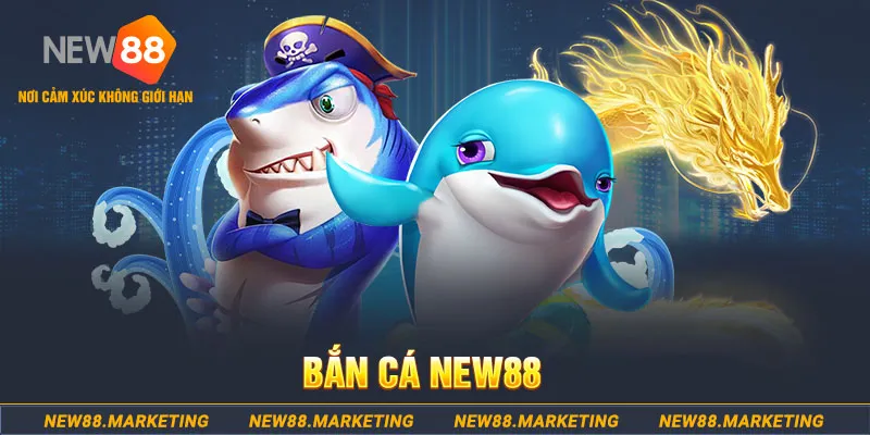 rr8822 ban ca xeng 2