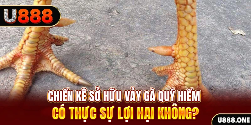rr8822 nohu .mx nổ hủ là gì