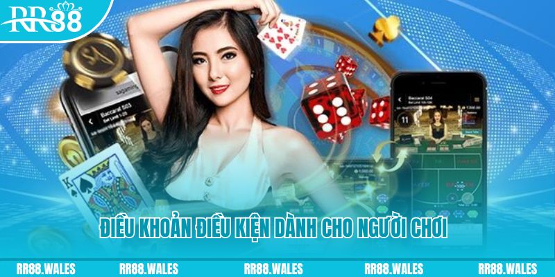 rr8822 casino gồm những gì