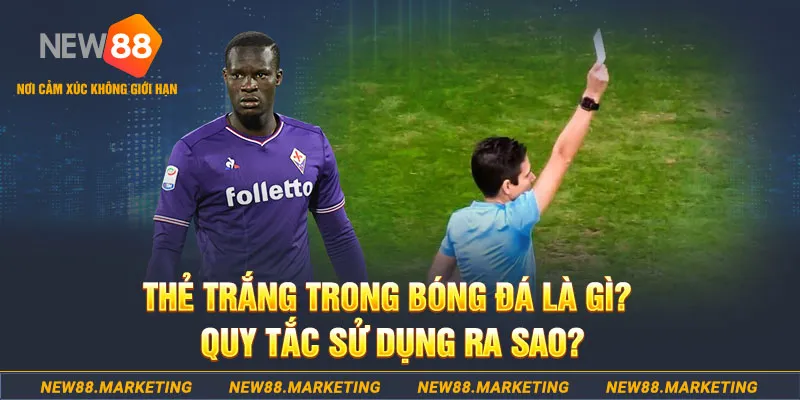 rr8822 gà chọi mộc hóa