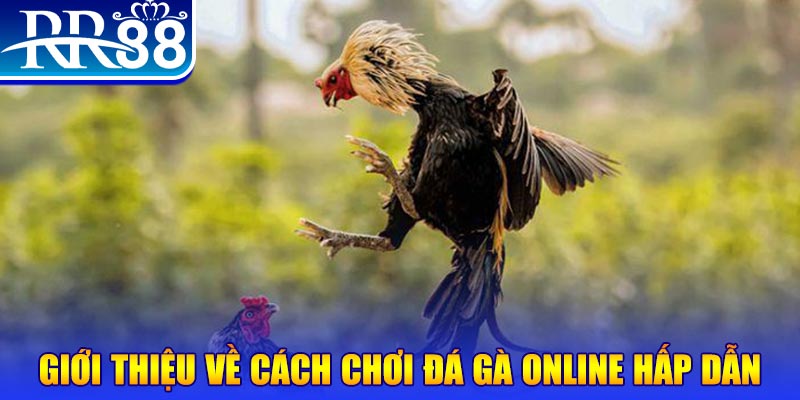 rr8822 game nổ hũ rút tiền mặt là gì