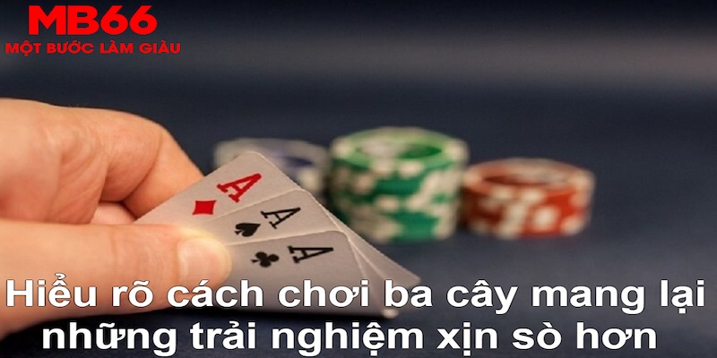 rr8822 xổ số đài bắc
