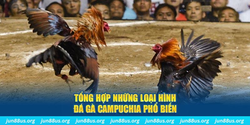 rr8822 đăng nhập nổ hũ 2024