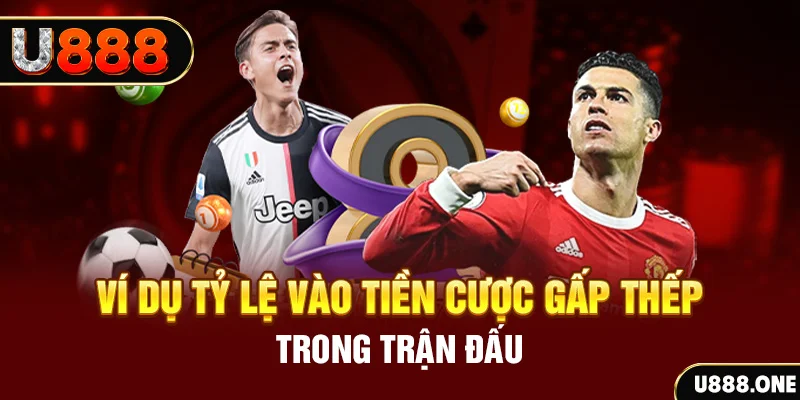 rr8822 kết quả xổ số 30 ngày