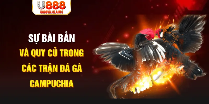 rr8822 YGR Điện Tử
