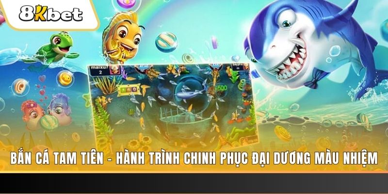 rr8822 xổ số bình định