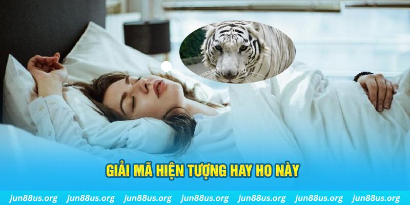 rr8822 đăng nhập nổ hũ uy tín