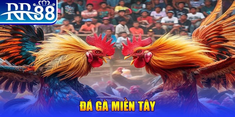 rr8822 chơi slot là gì