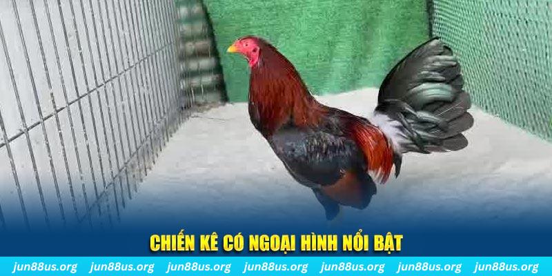 rr8822 chạy quảng cáo cho game bài bị phạt như thế nào
