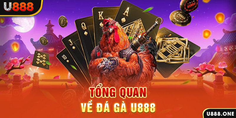 rr8822 ILOVEU Điện Tử