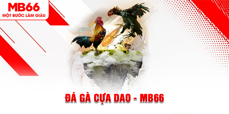 rr8822 đá gà sv388 gold